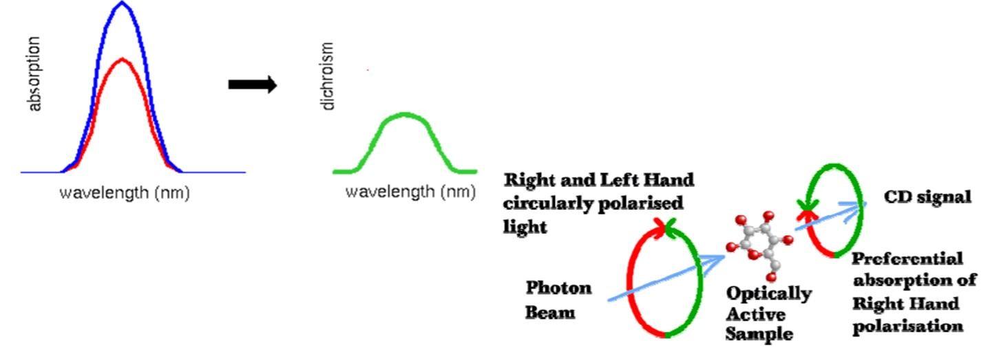 Higher Order Structure analysis by CD Spectroscopy Center for