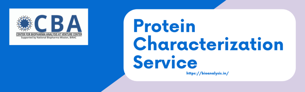 Protein Characterization Service